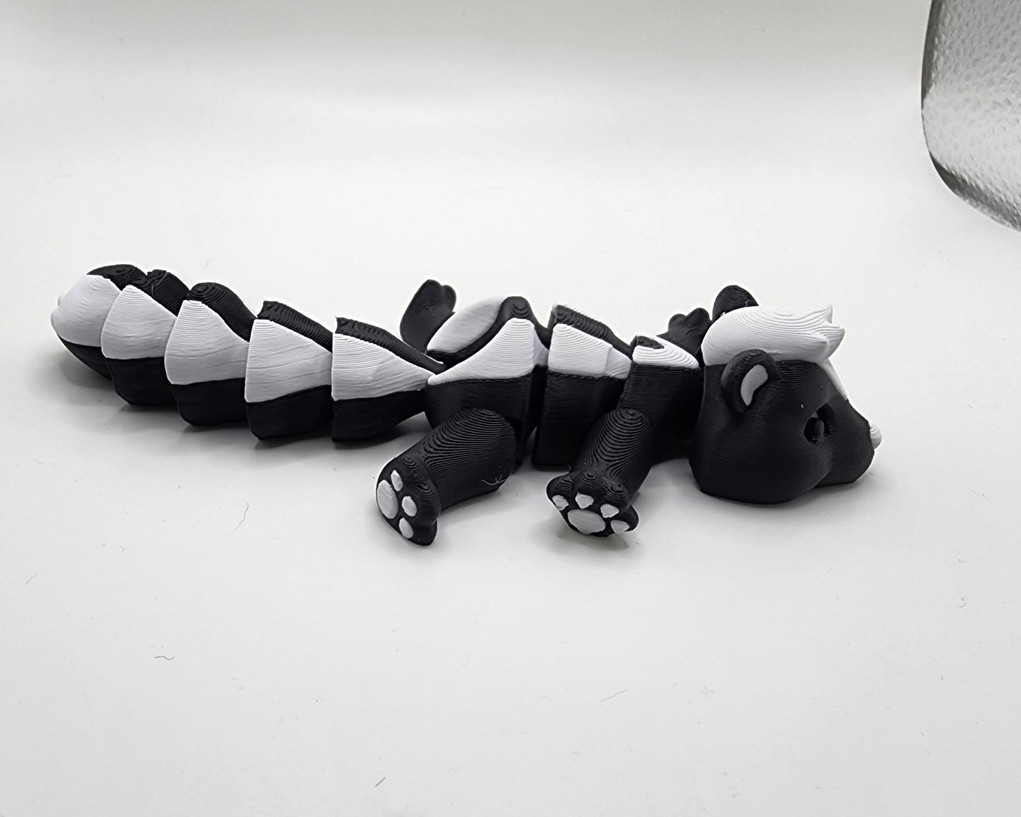 Cute little skunk