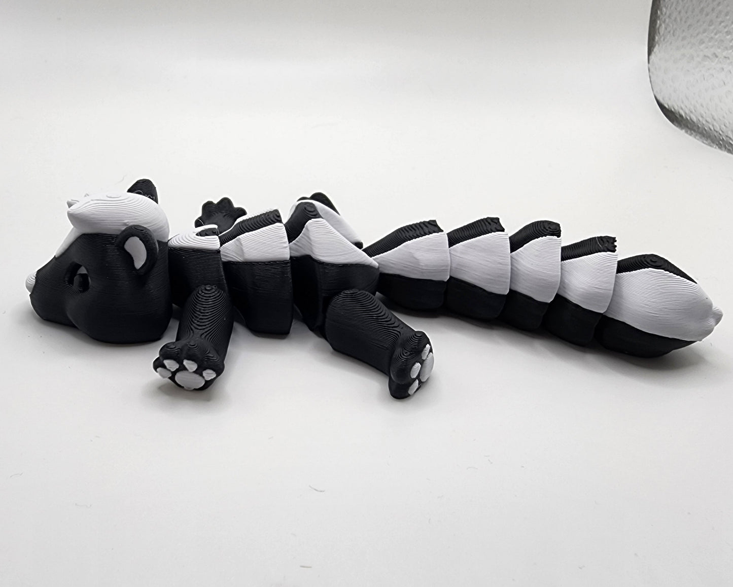 Cute little skunk