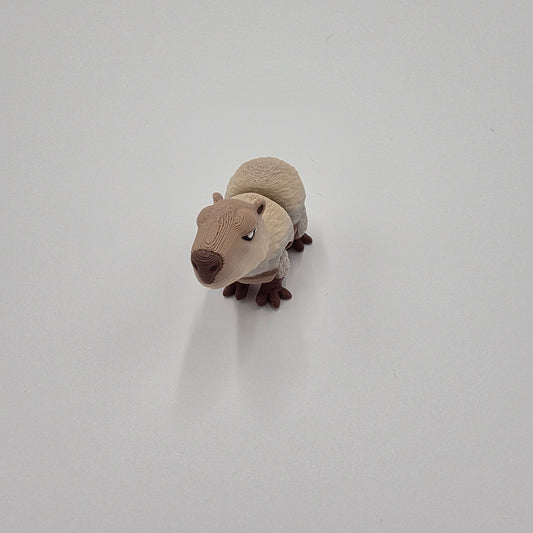 Baby Capybara