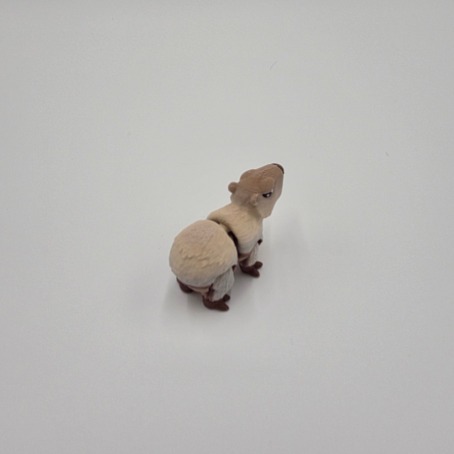 Baby Capybara