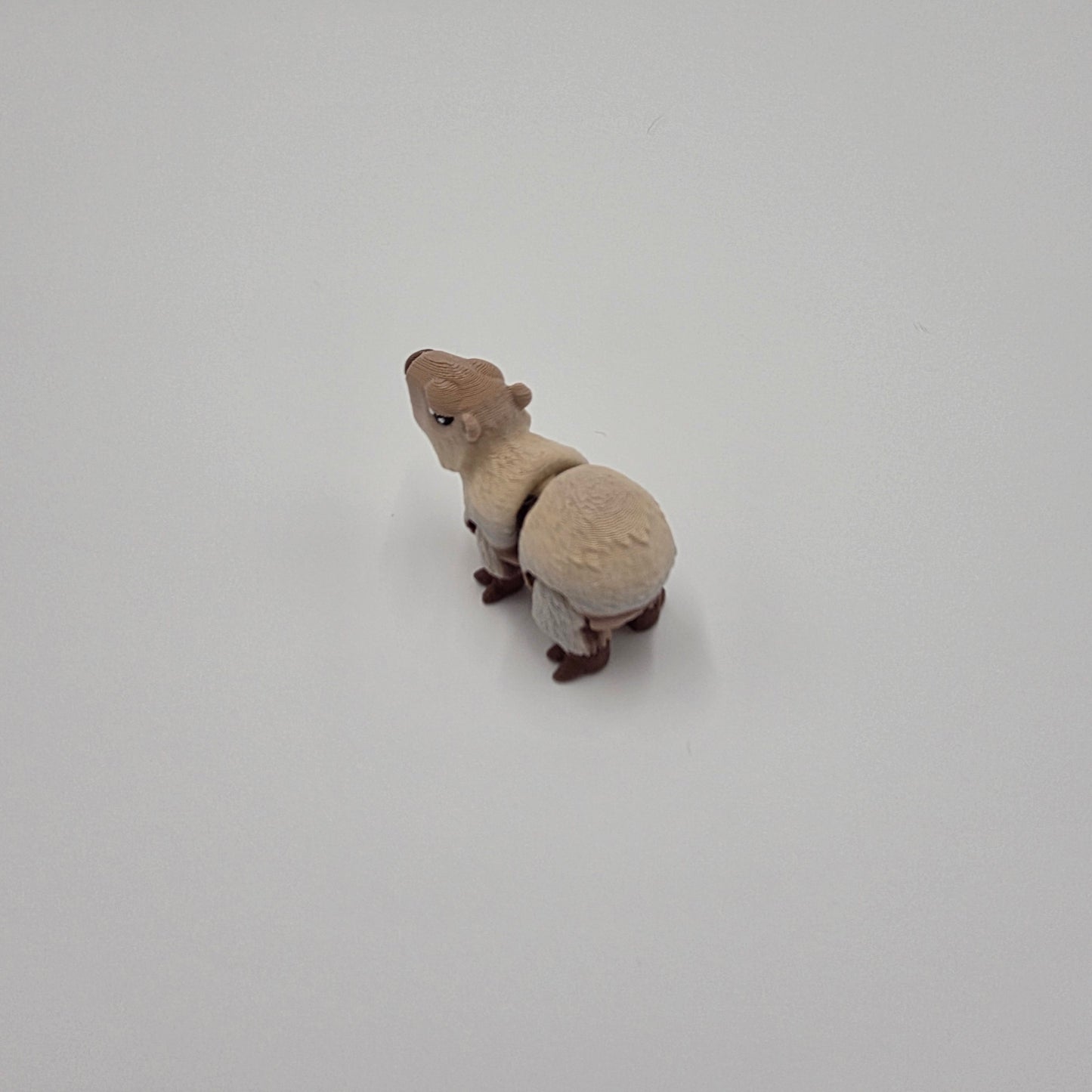 Baby Capybara