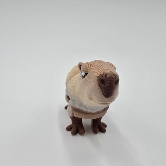Baby Capybara