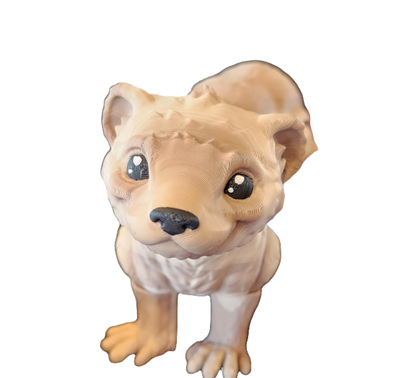 Ferret