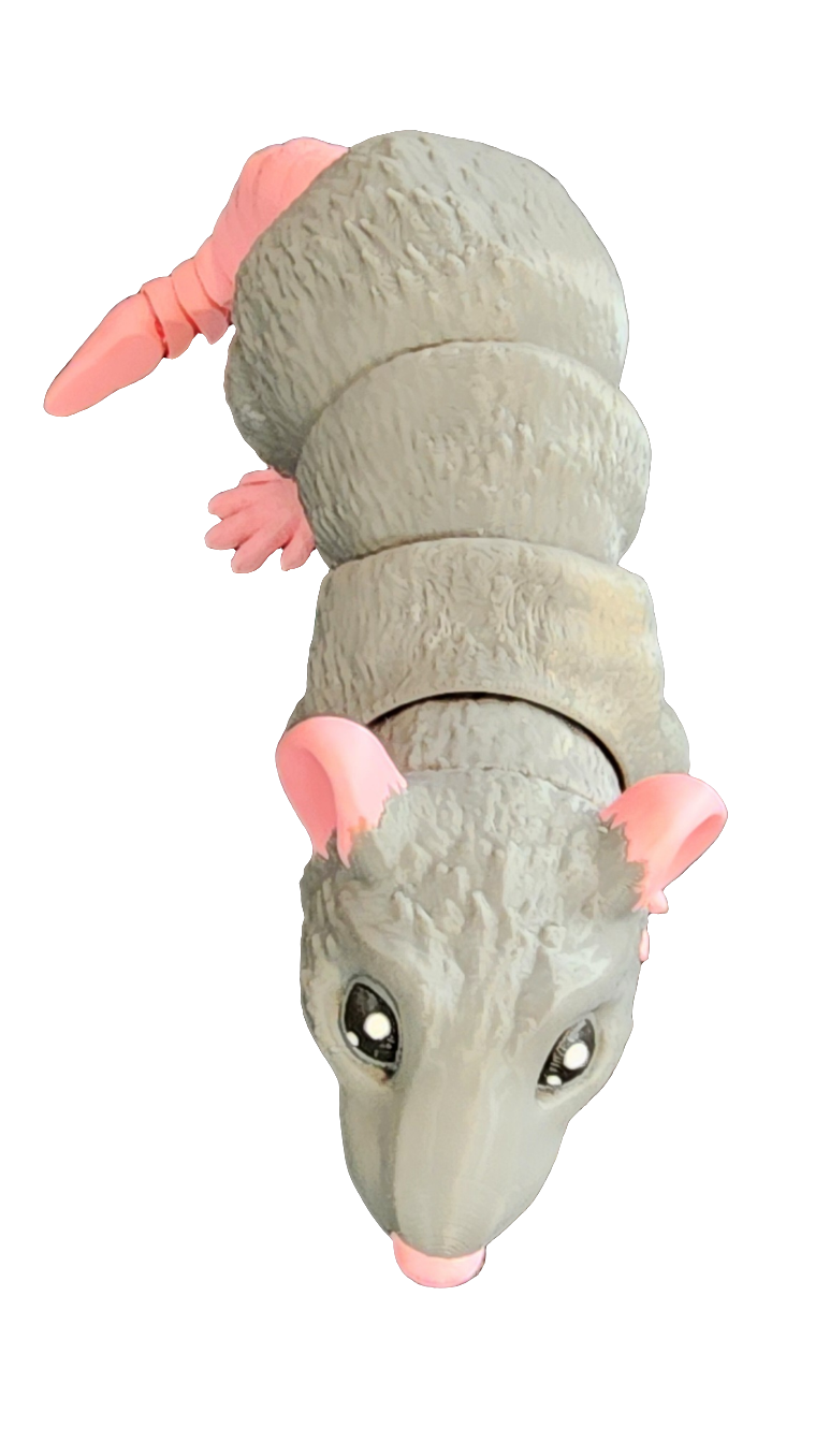 Mr. Rat