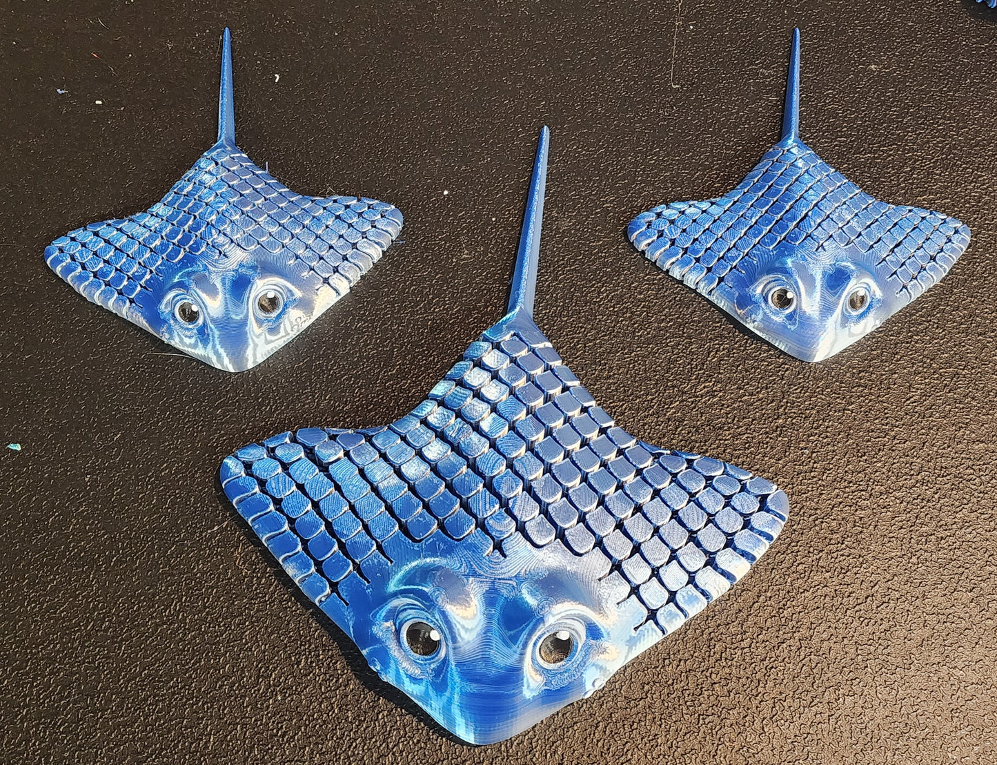 Stingray