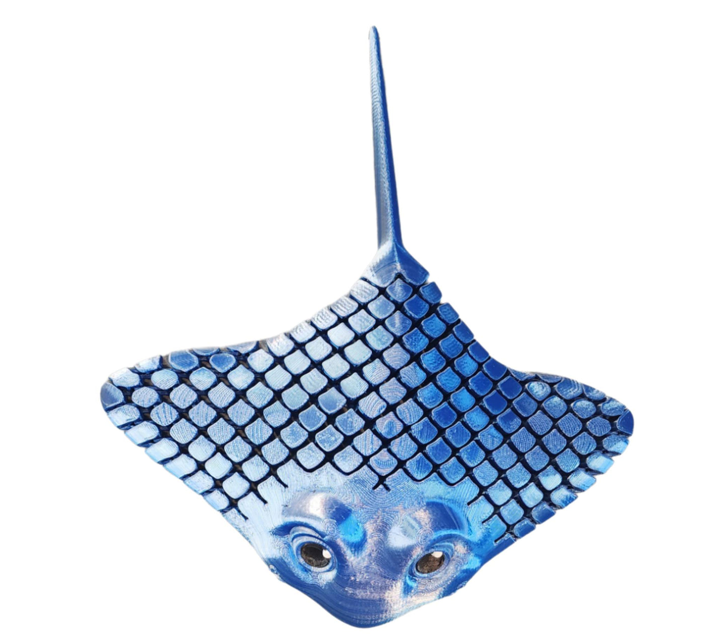 Stingray