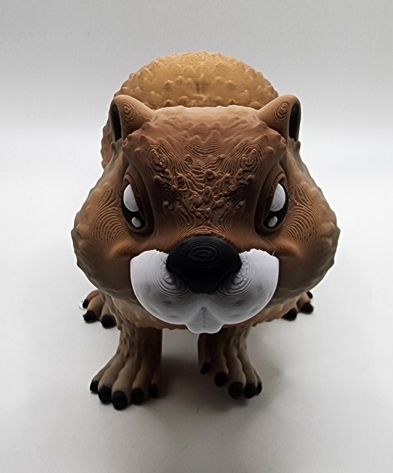 Mr Beaver