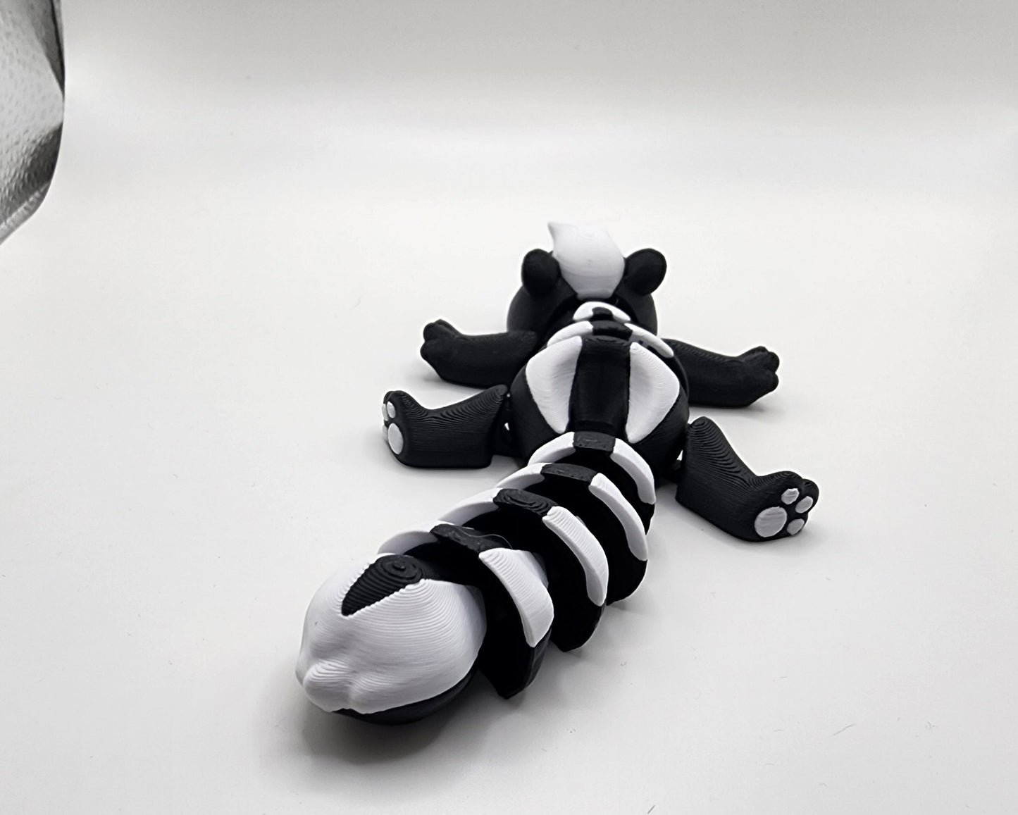 Cute little skunk
