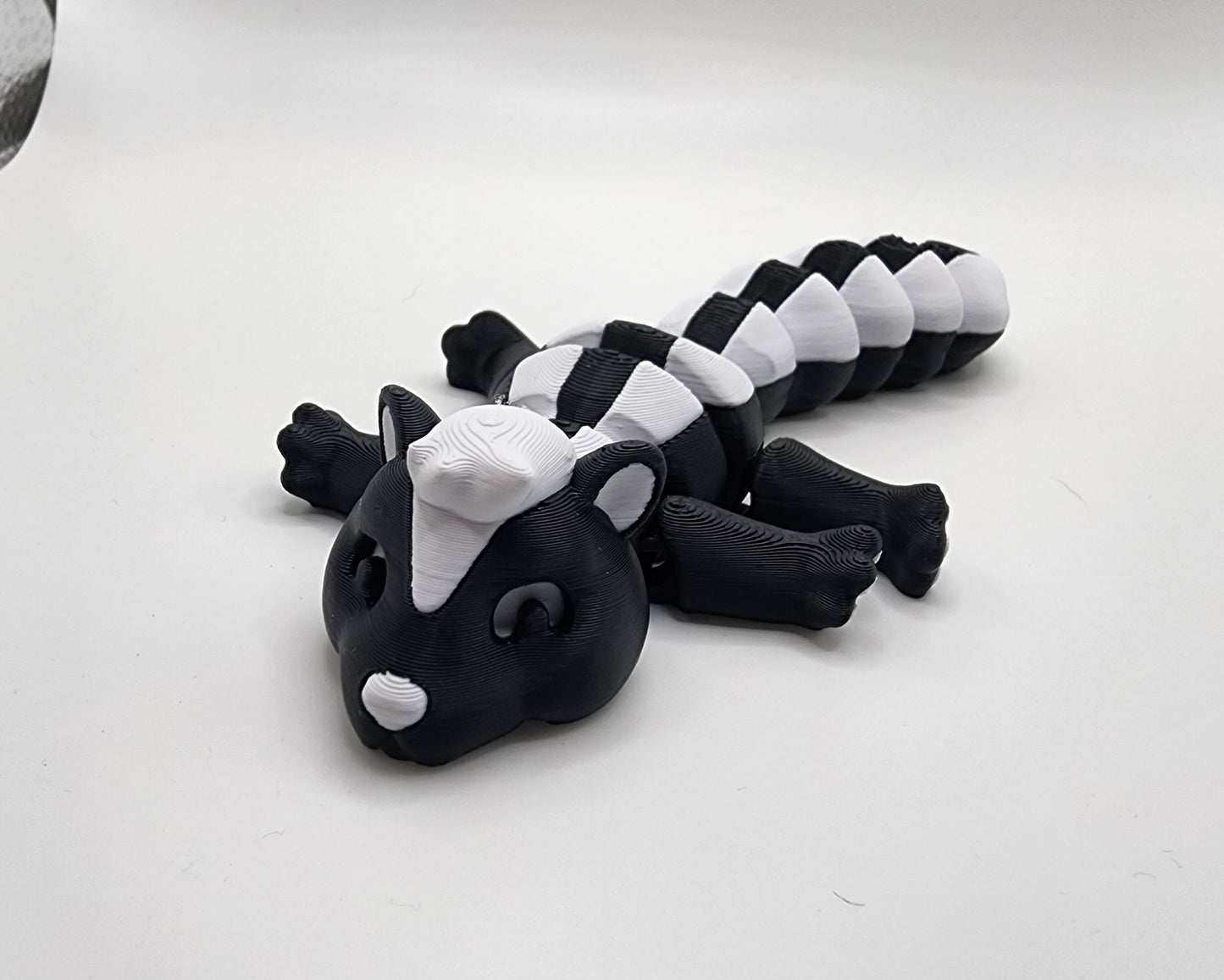 Cute little skunk