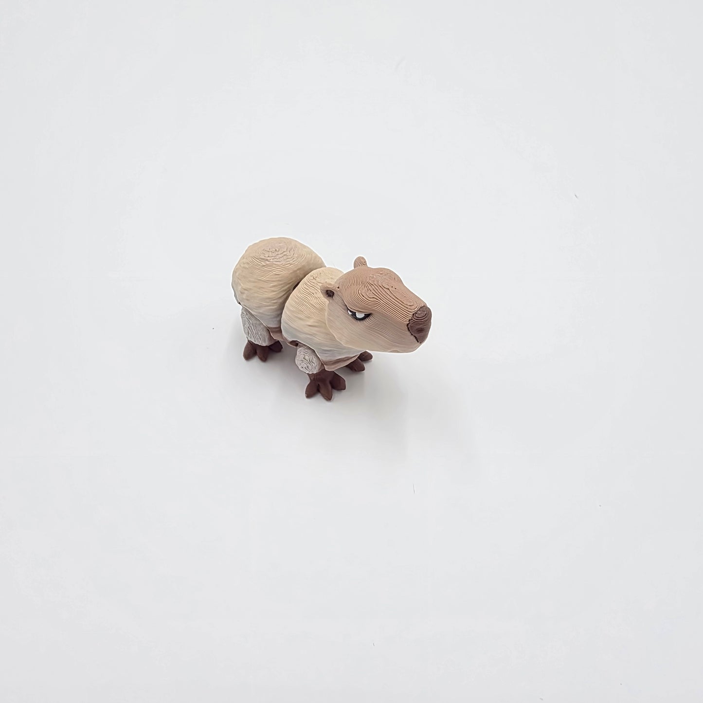 Baby Capybara