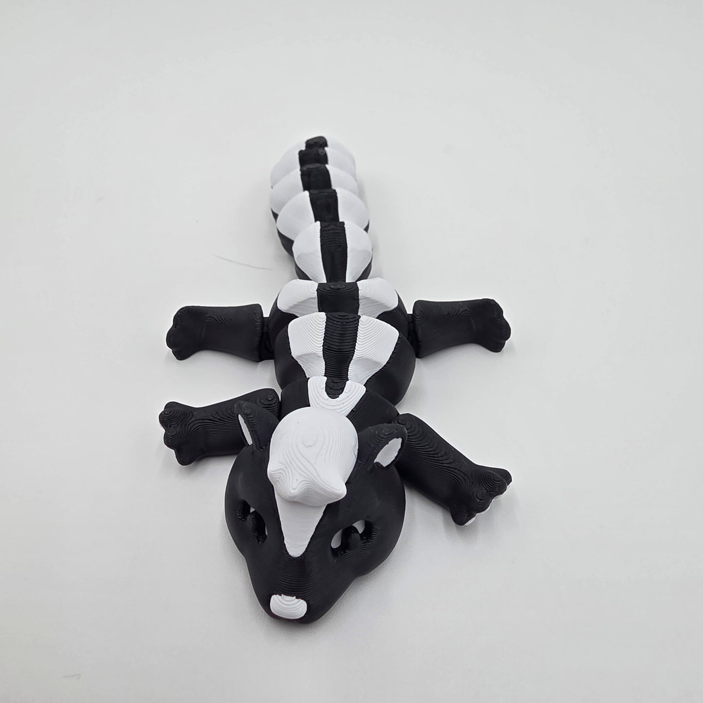 Cute little skunk