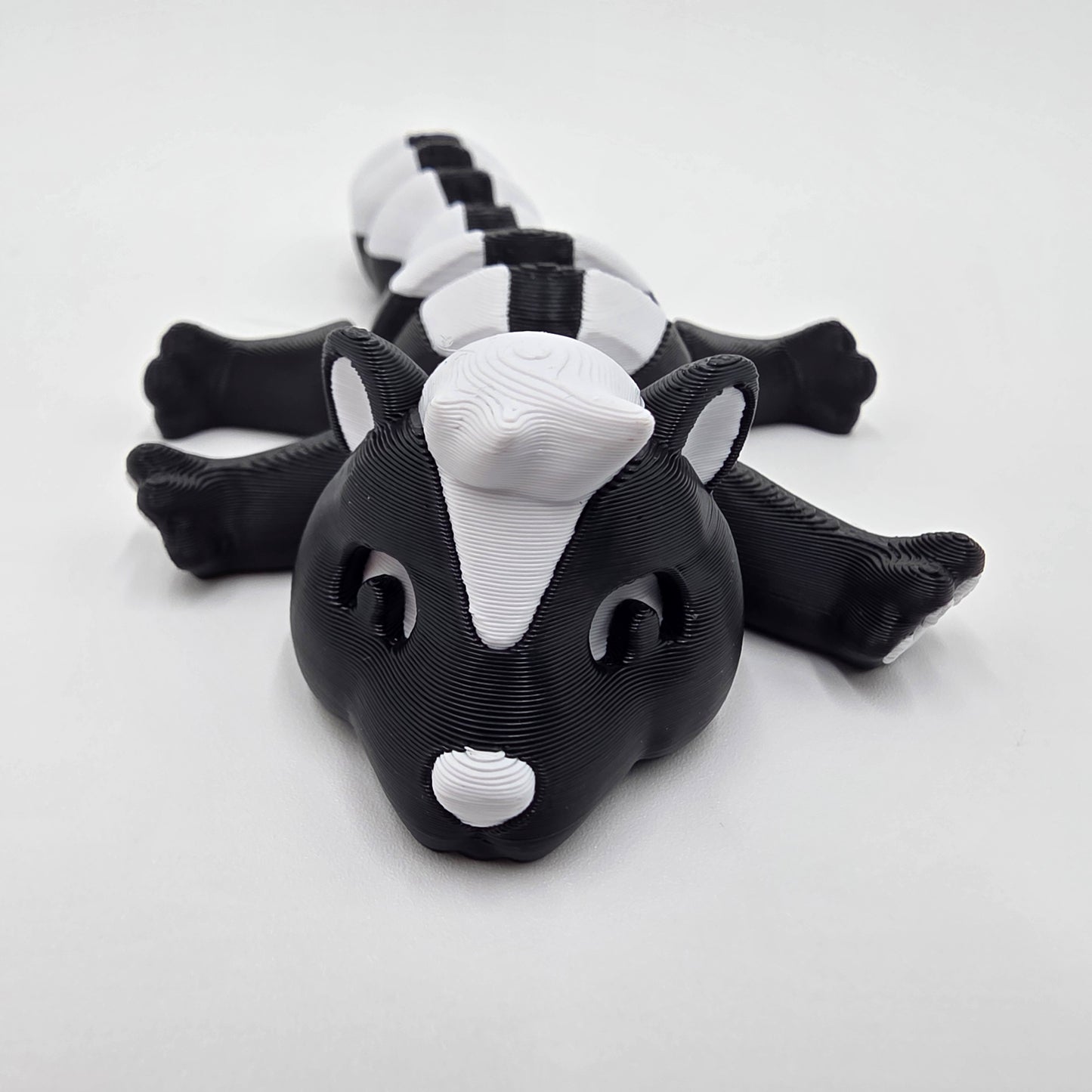 Cute little skunk