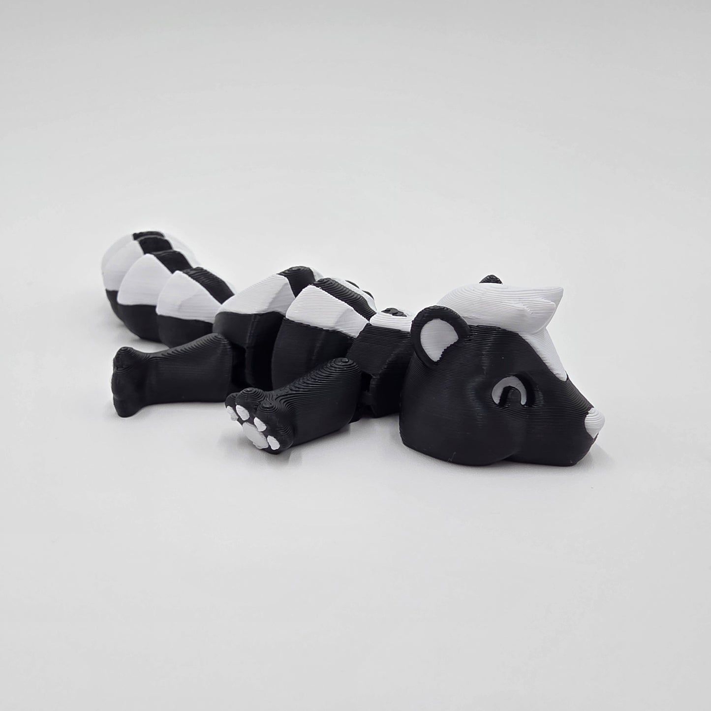 Cute little skunk