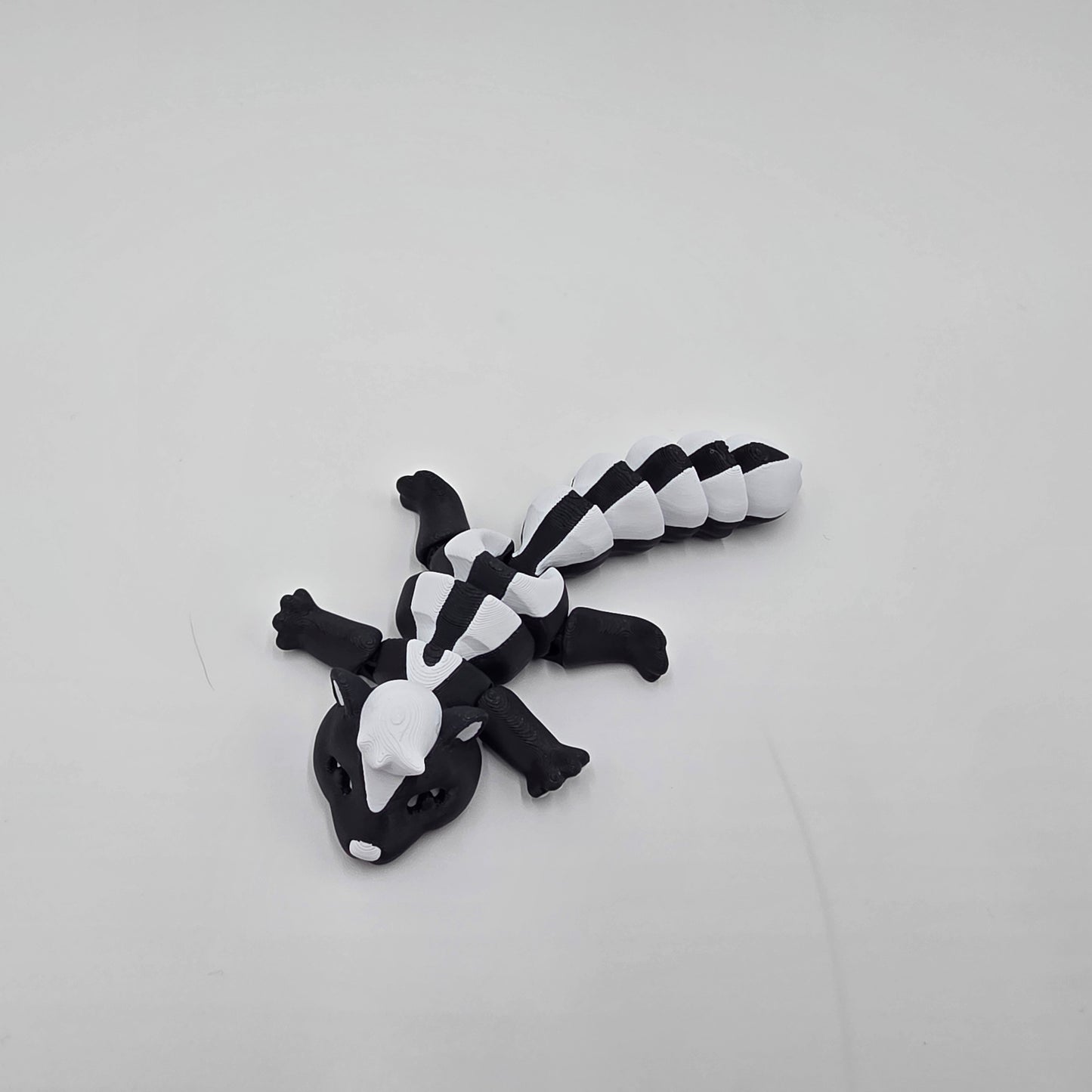 Cute little skunk