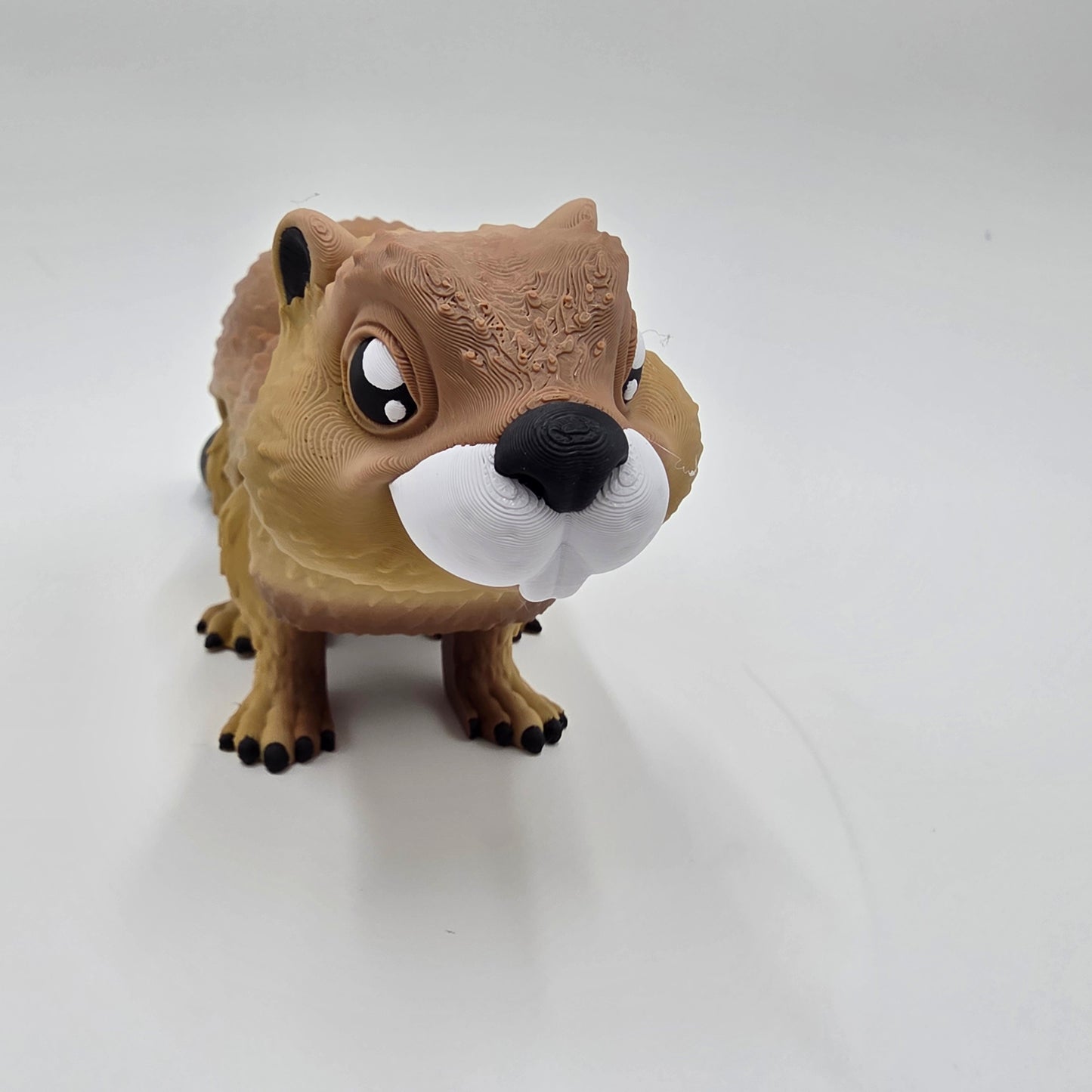 Mr Beaver