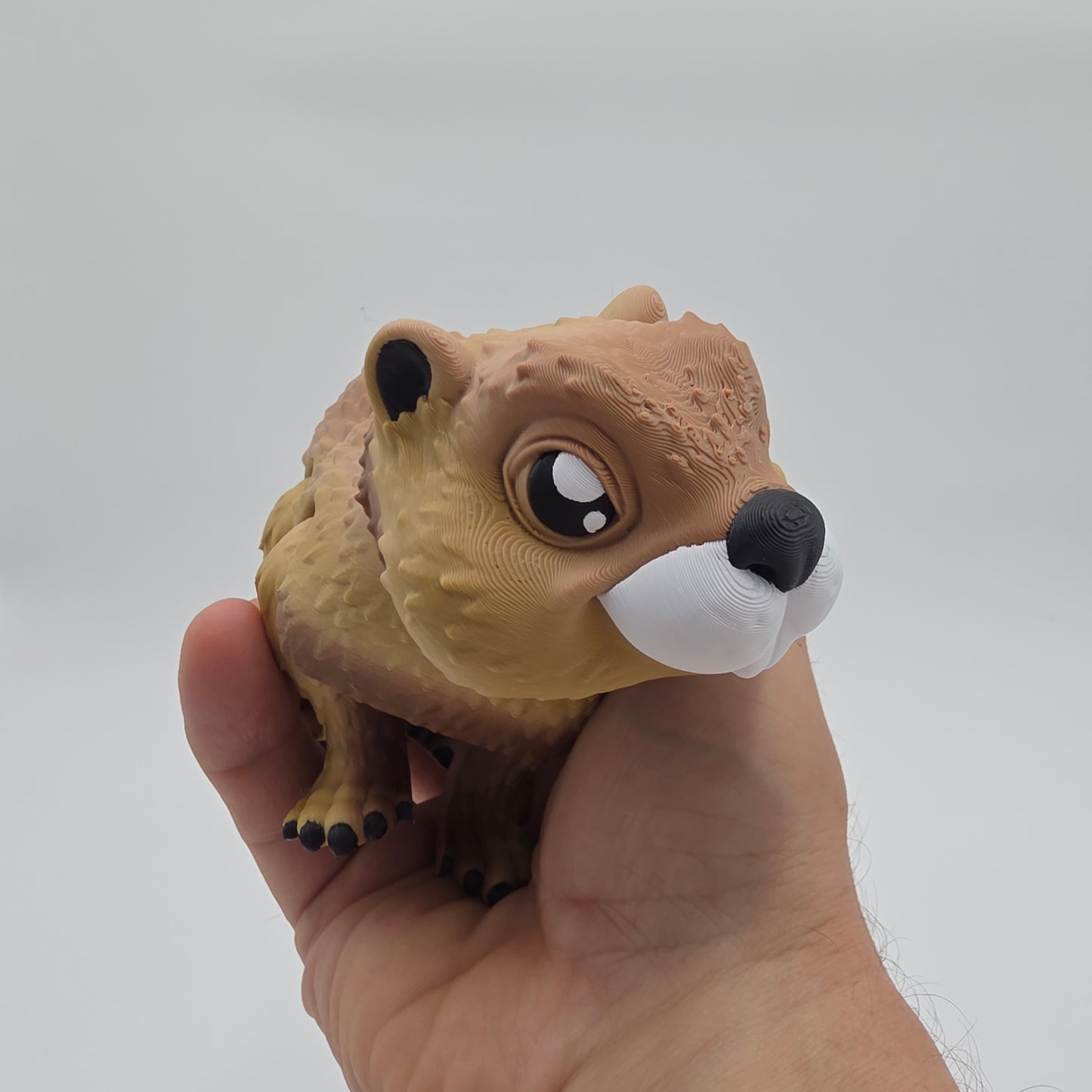 Mr Beaver