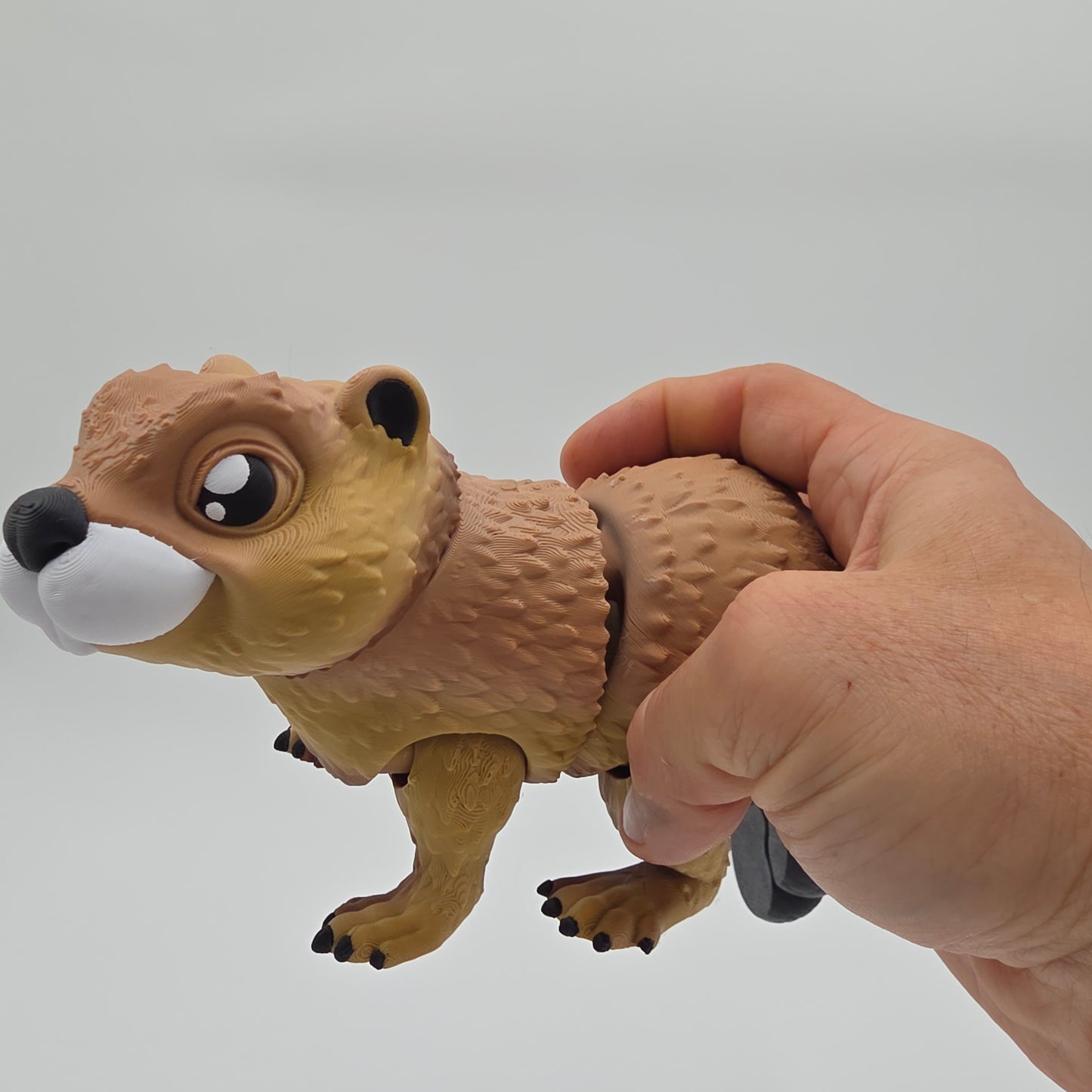 Mr Beaver