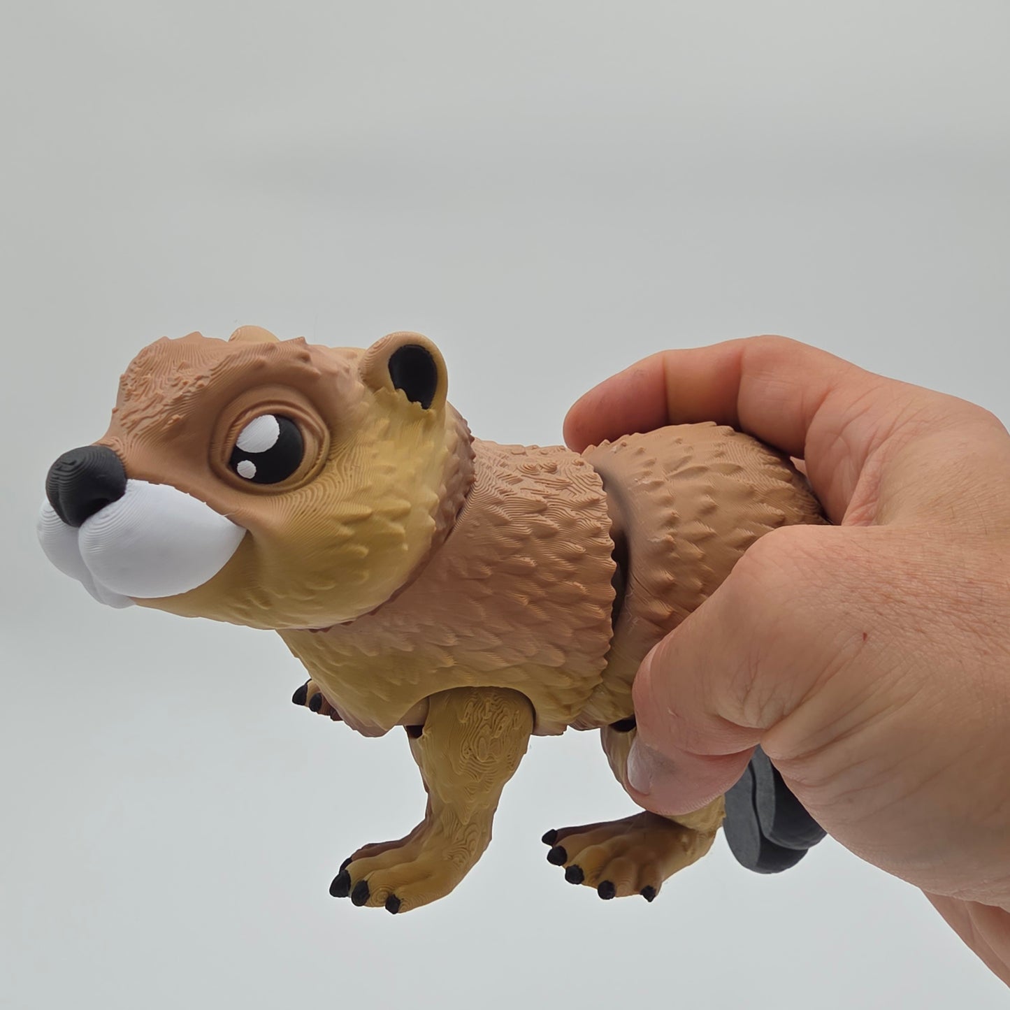 Mr Beaver