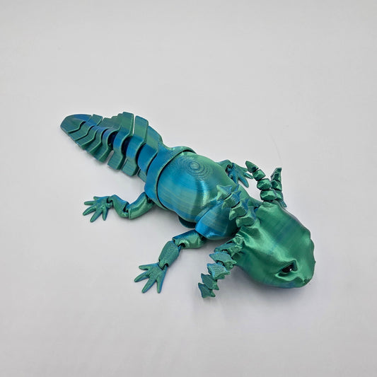 Adult Axolotl