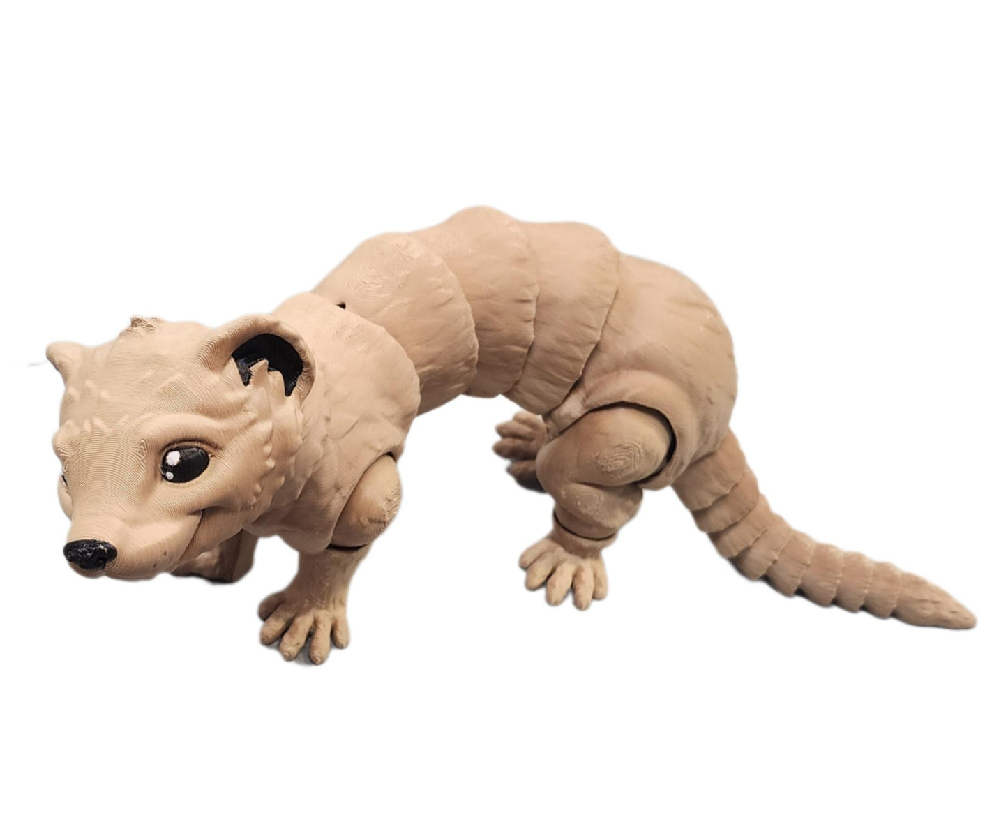 Ferret