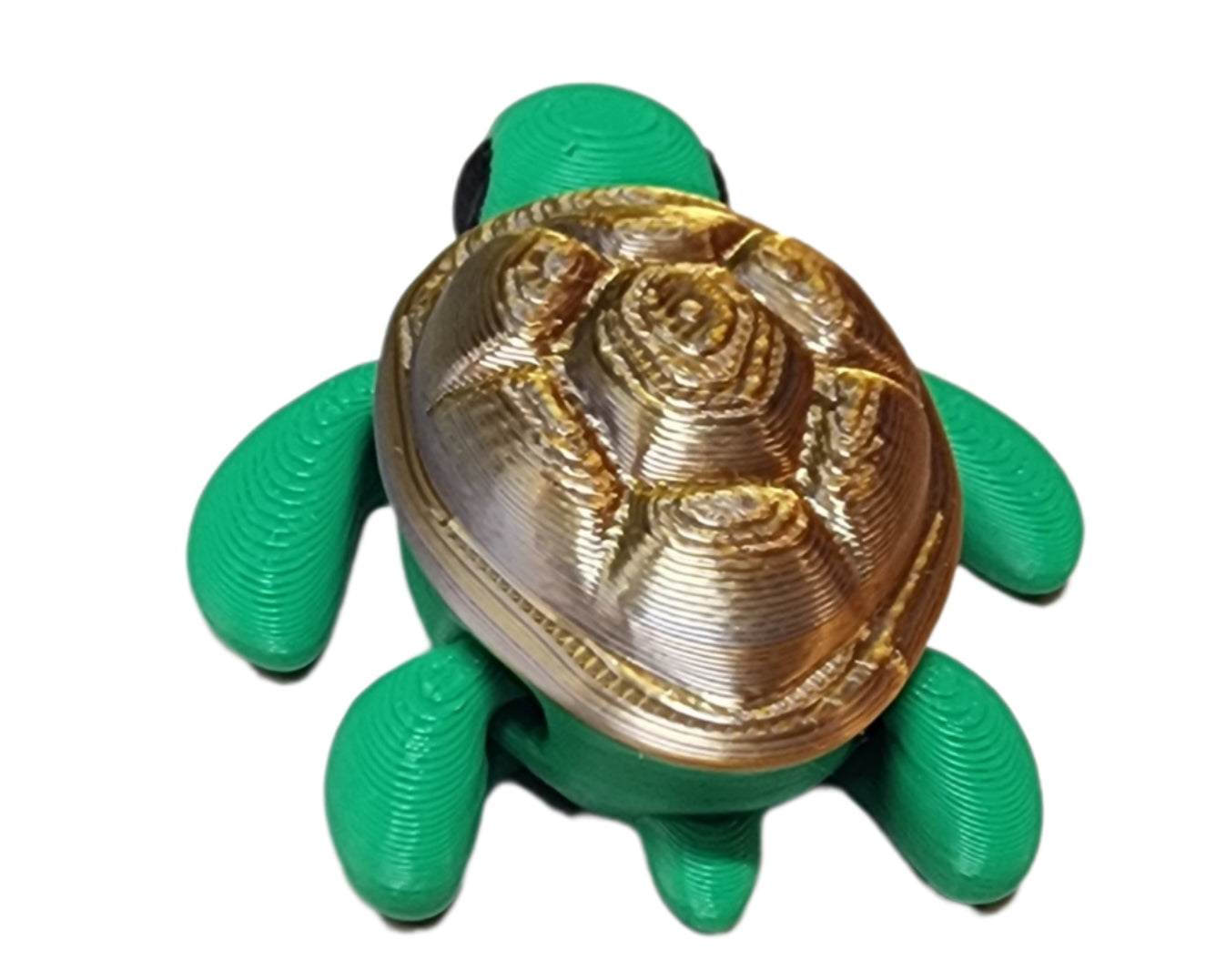 Tiny Turtle