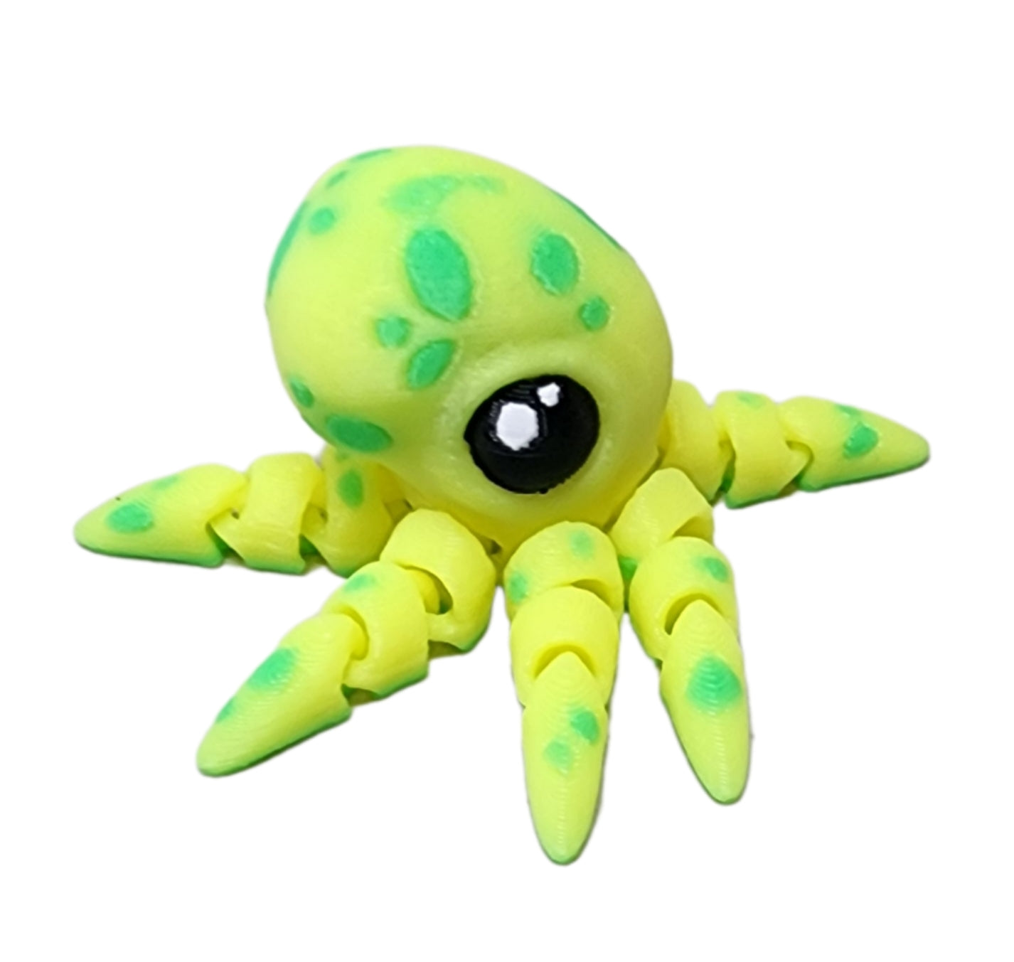 Tiny octopus