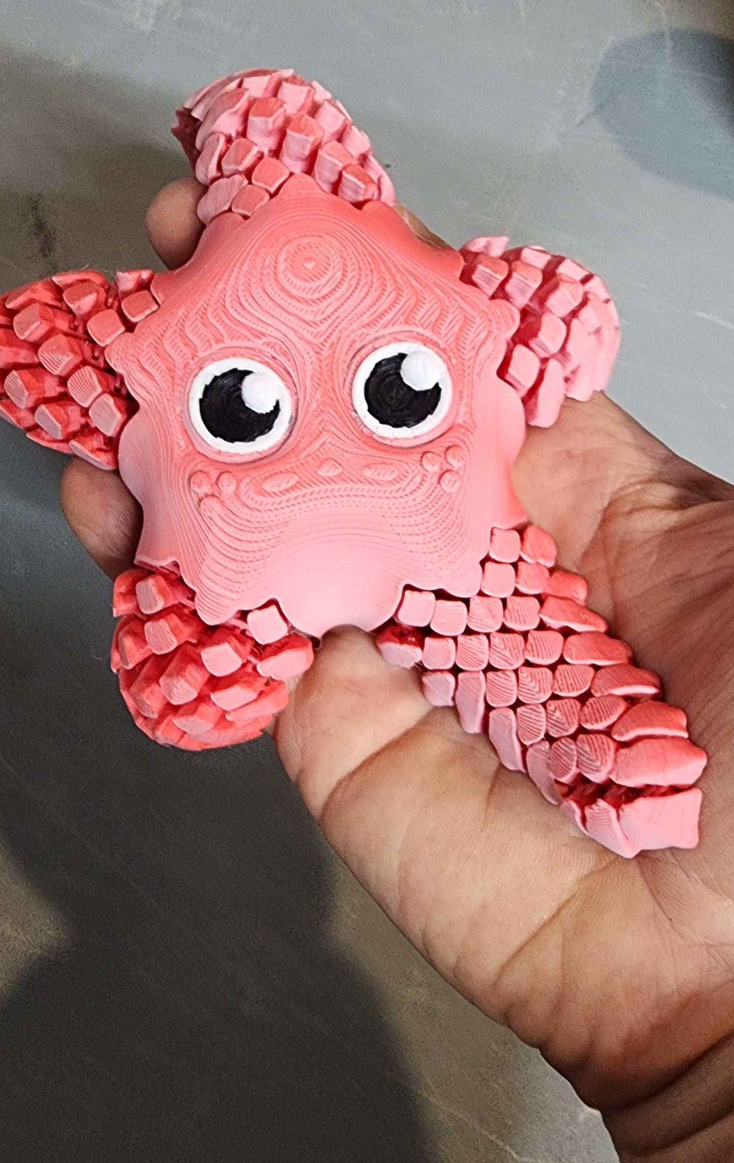 Star the Star fish