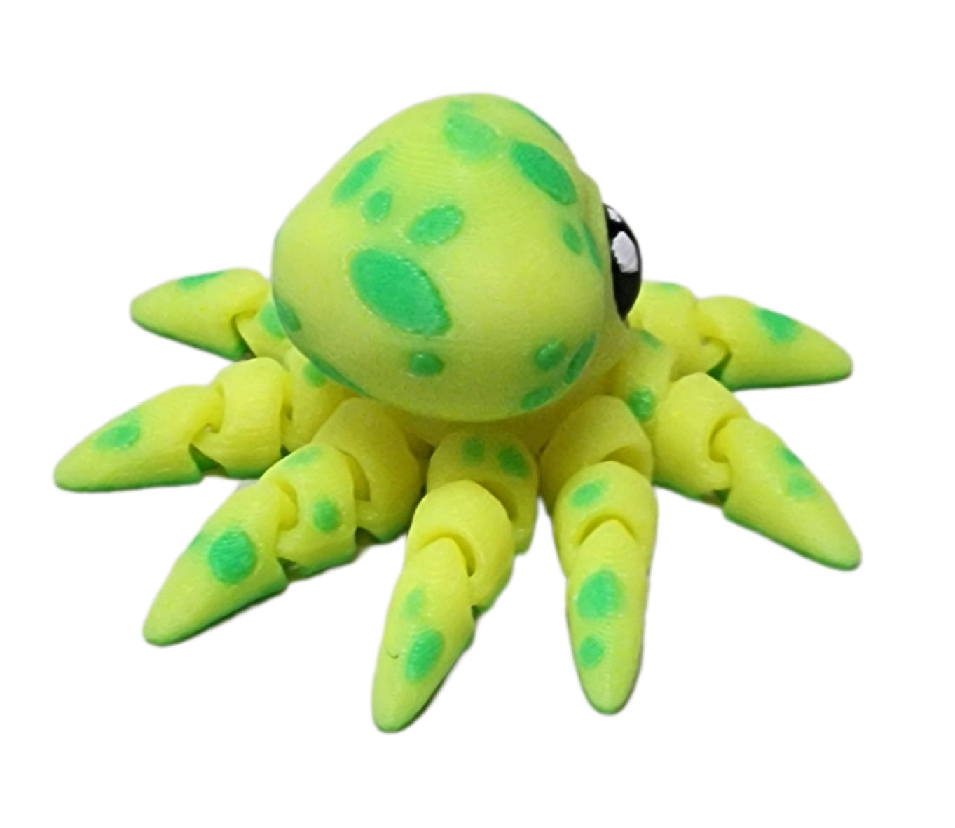 Tiny octopus