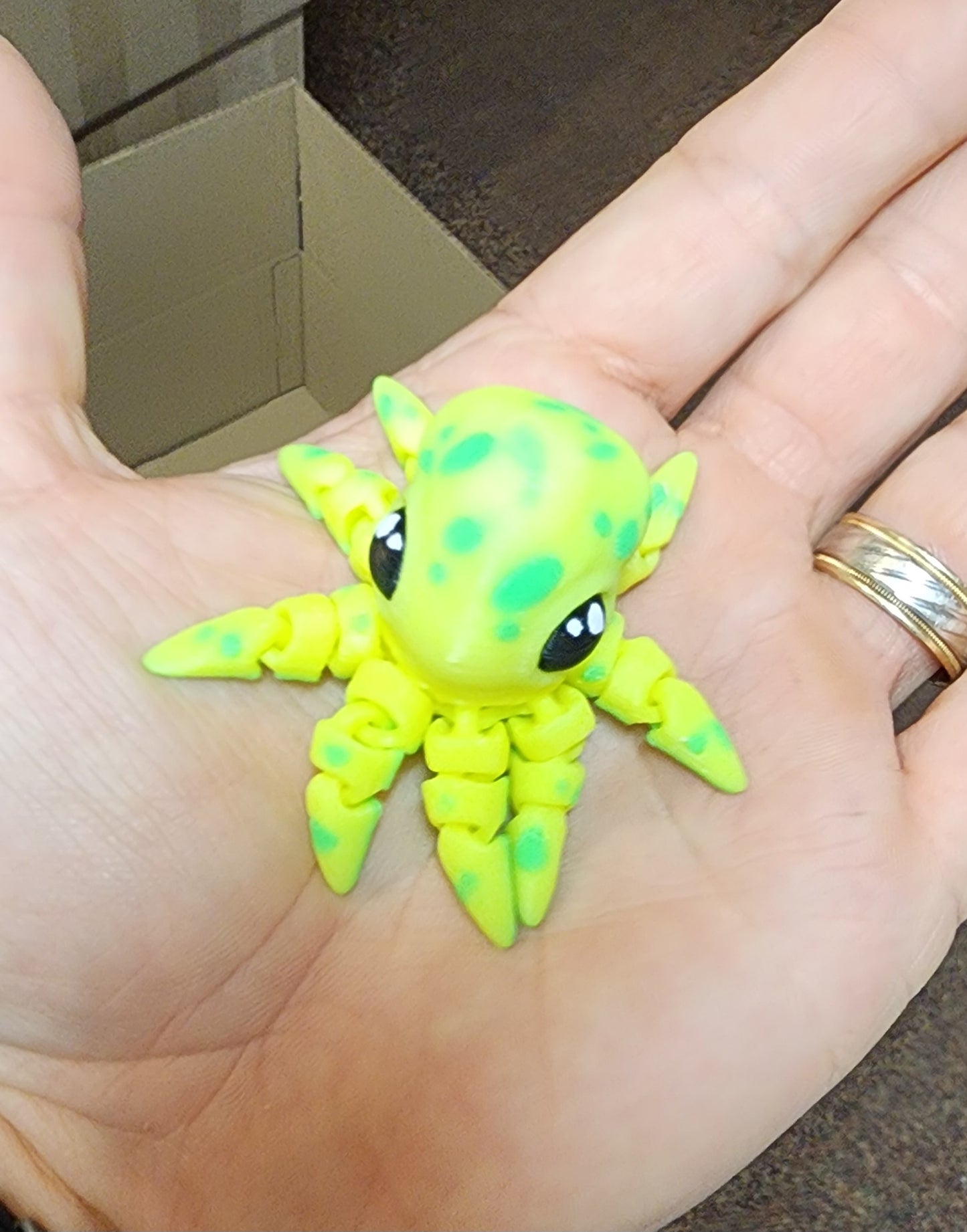 Tiny octopus