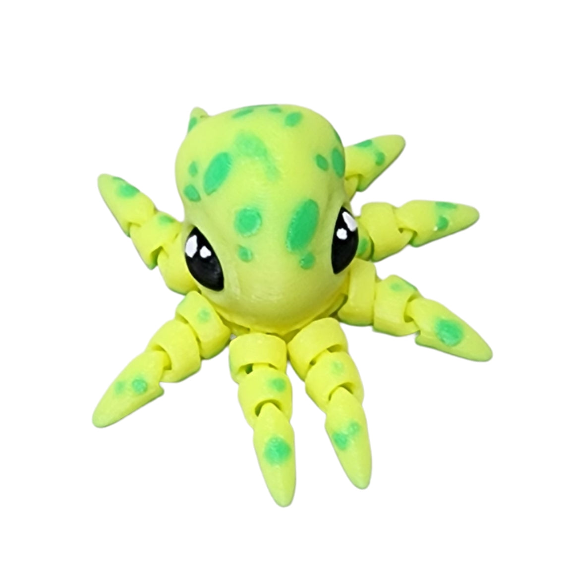 Tiny octopus