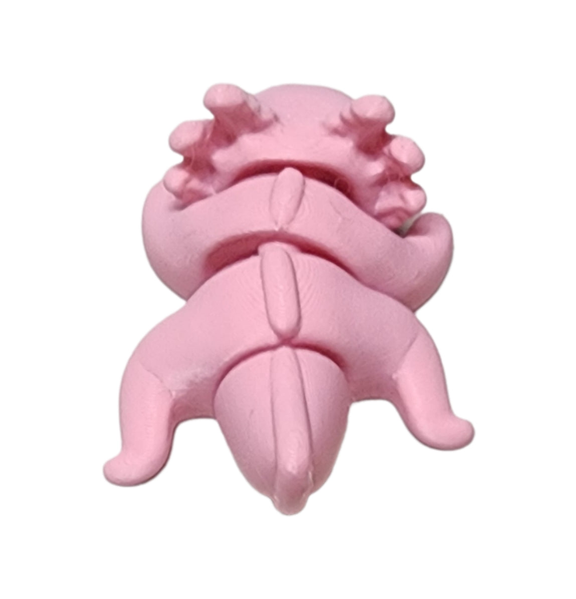 Tiny axolotl